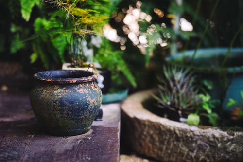 Free A rustic ceramic pot on wooden surface amidst lush greenery, creating a tranquil garden scene. Stock Photo