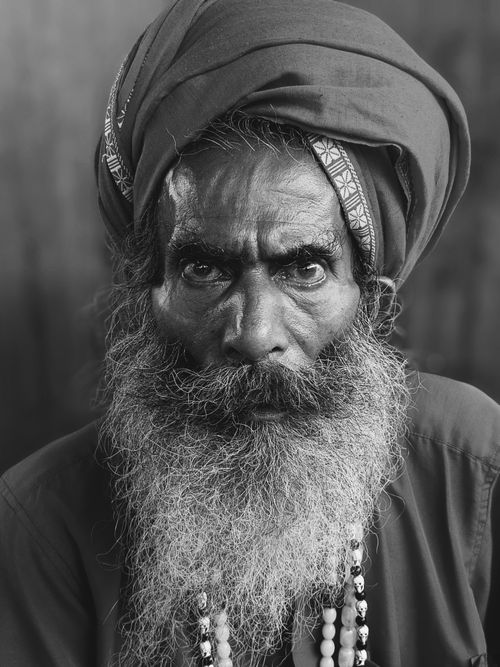 Free Black and white portrait of an elderly Indian man with a turban and long beard, showcasing cultural attire. Stock Photo