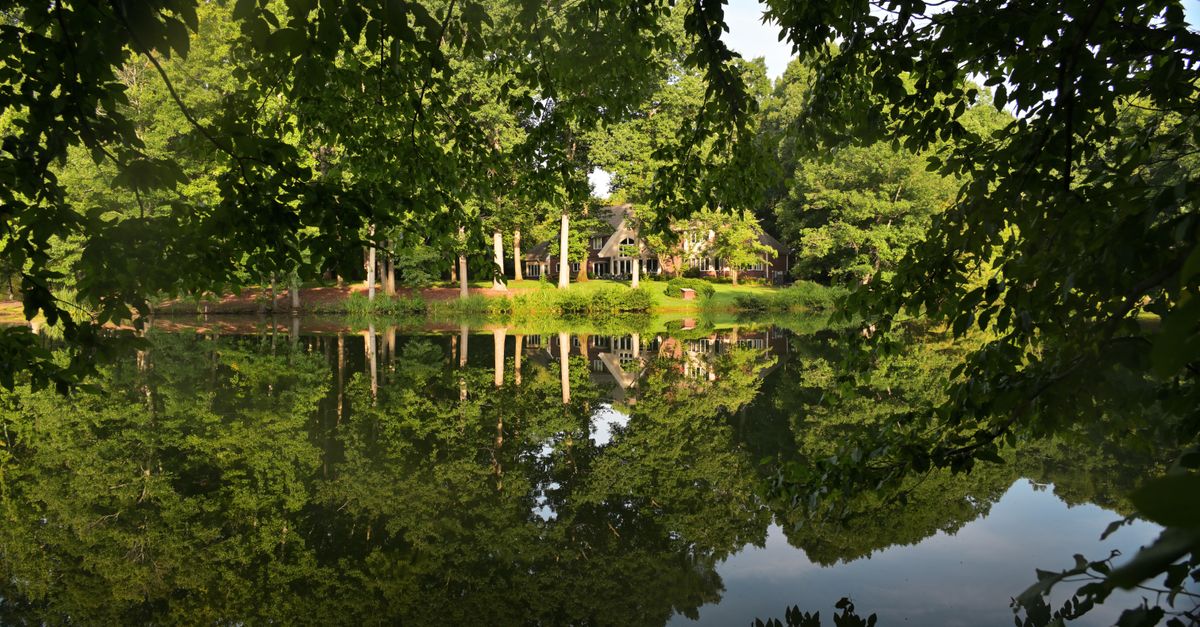 A peaceful lakeside view reflecting lush greenery and a cozy home, perfect for tranquil moments.