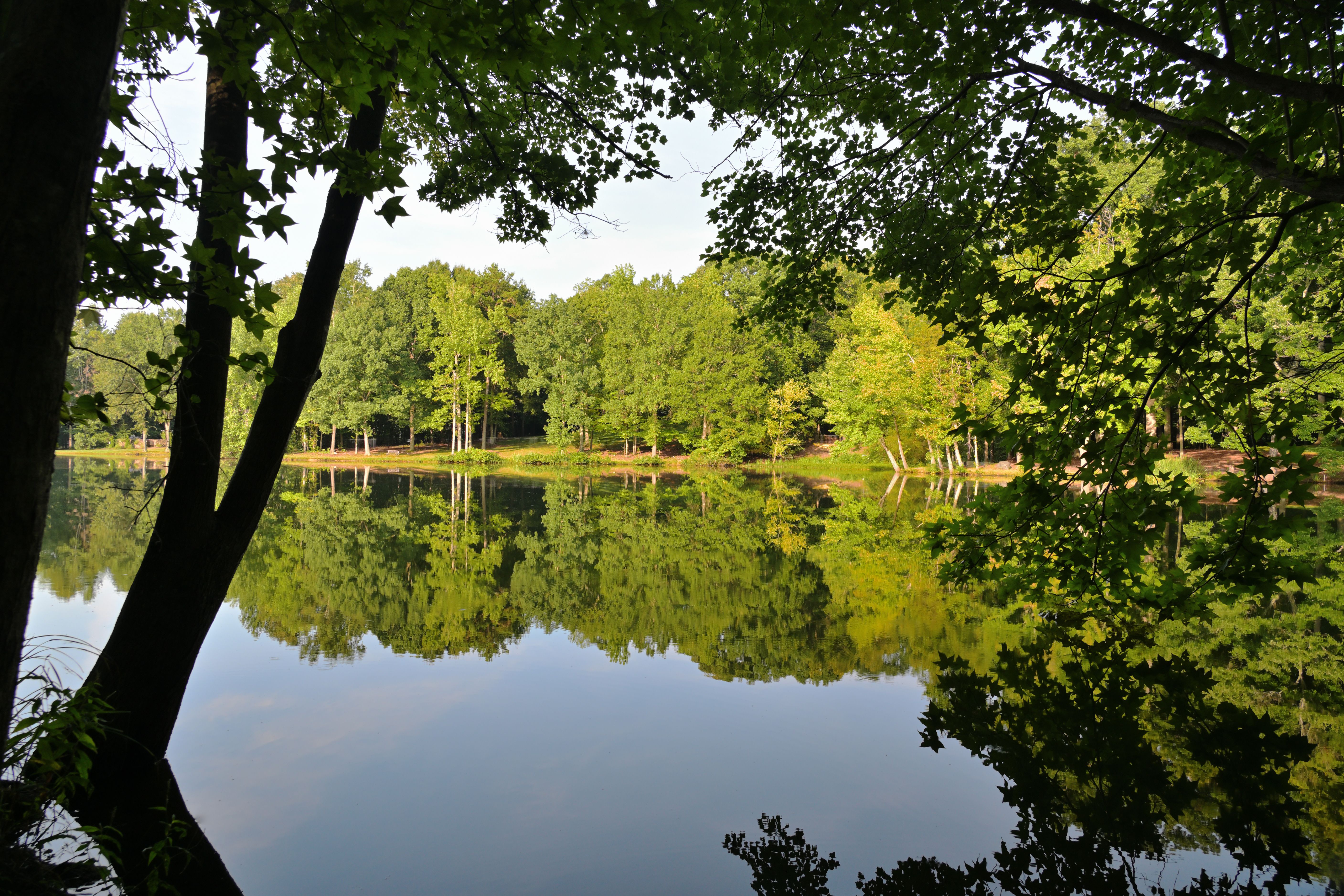 Top Raleigh, NC Gift Card Giveaways With No Purchase Necessary: Safe Entry Guide