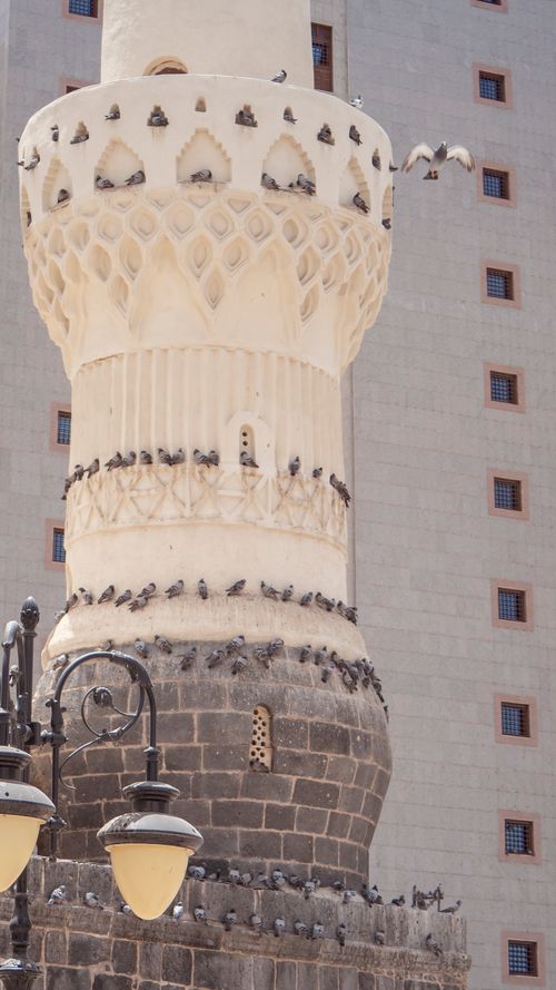 Free Historic minaret with pigeons in Madinah, showcasing Islamic architecture and cultural heritage. Stock Photo