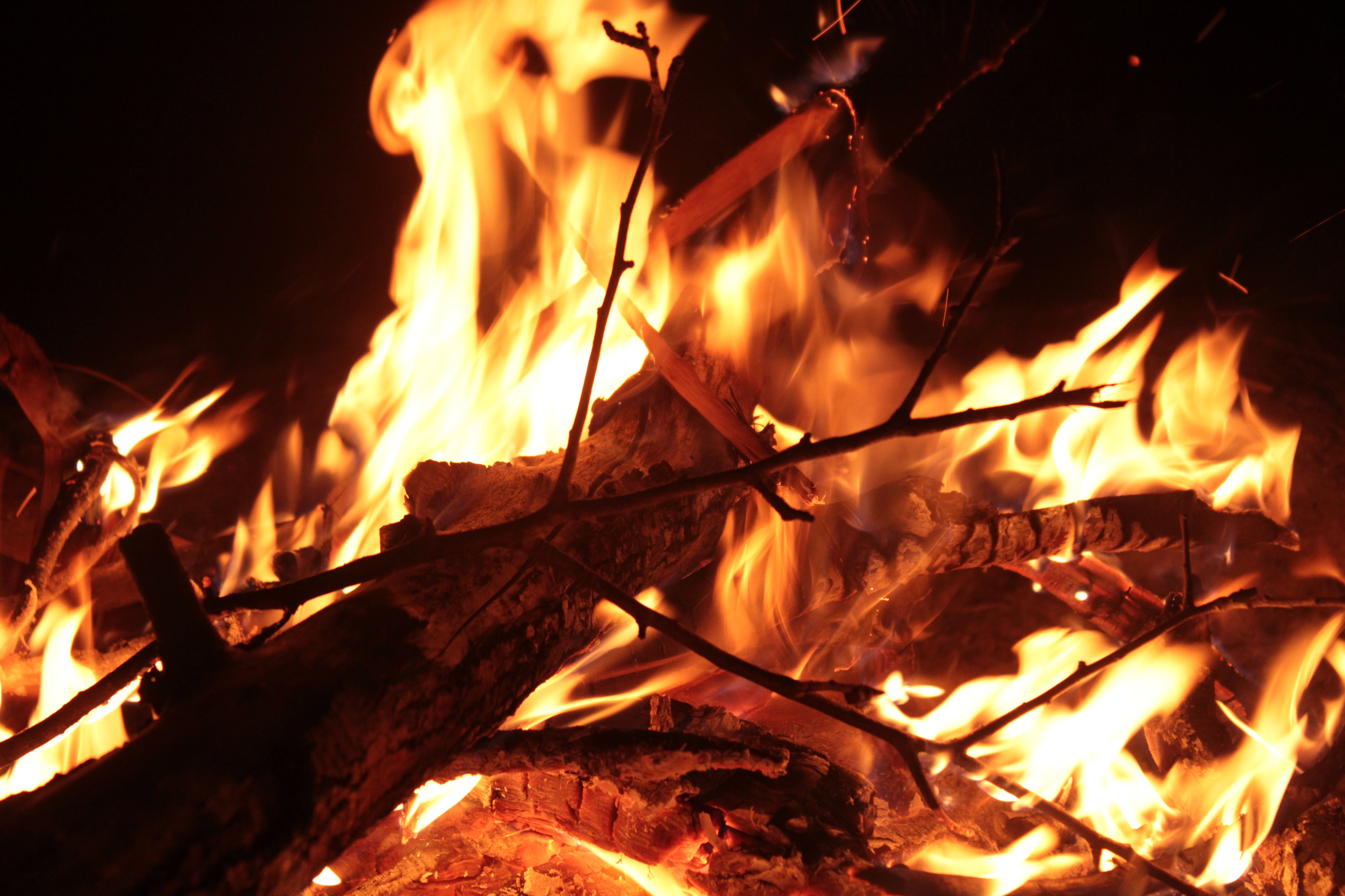 The FIRE Movement Has Changed. Here's What Financial Independence Looks Like Today — Photo by Andranik Paradyan on Pexels