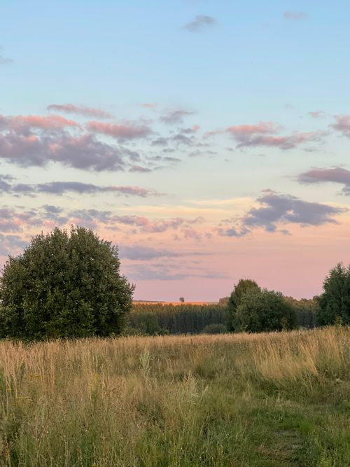 Free Idyllic summer evening landscape with colorful sky and peaceful meadow. Stock Photo
