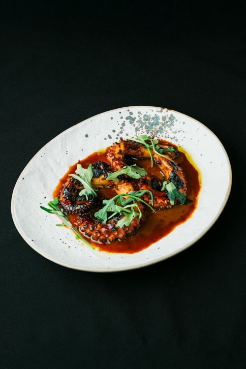 Free Savor the gourmet grilled octopus dish served elegantly on a textured white plate. Stock Photo
