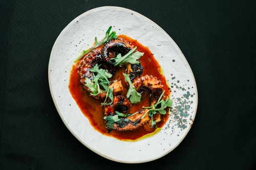 Free Top view of a grilled octopus elegantly presented with arugula and sauce on a textured white plate. Stock Photo
