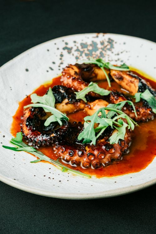 Free Delicious grilled octopus garnished with arugula on a ceramic plate, perfect for gourmet dining visuals. Stock Photo