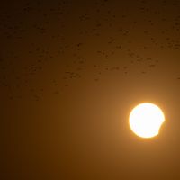Empire Of The Sun
