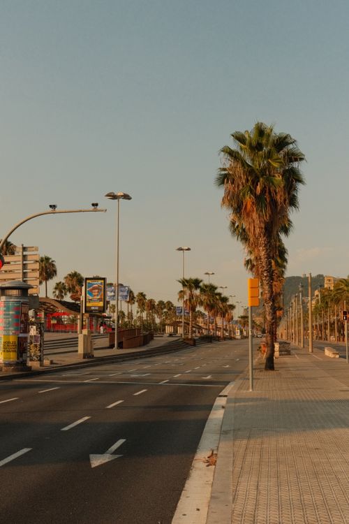 Free Beautiful sunset over a palm-lined urban street, capturing a serene summer evening. Stock Photo