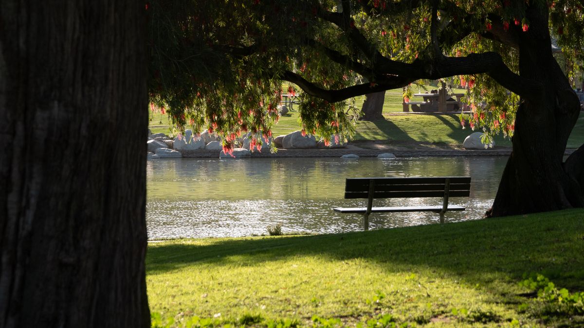 Irvine, CA Holiday Giveaways Near Me: Where to Find Legit Deals