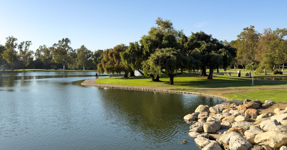 Peaceful lake and greenery at Bill Barber Park in Irvine, California during a sunny day.