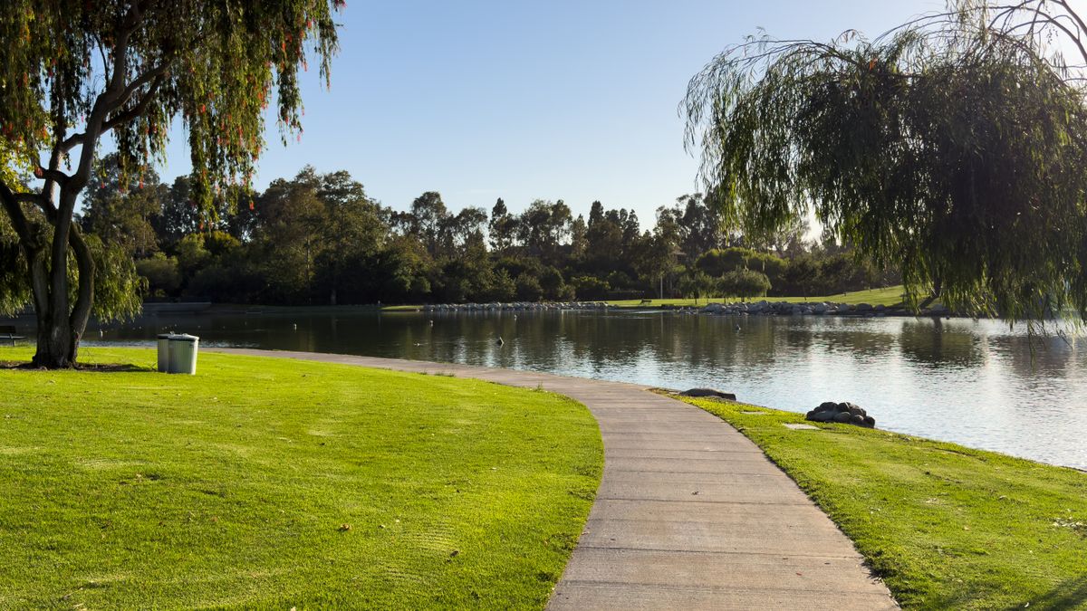 Holiday Giveaways in Irvine, CA: Updated 2026 List for Local Winners