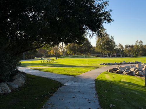 Free Peaceful park pathway with trees and open space basking in golden hour sunlight in Irvine, California. Stock Photo