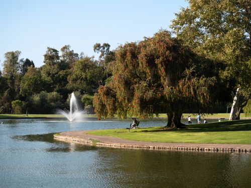 Free Serene view of a fountain and lush trees at a park in Irvine, California. Stock Photo
