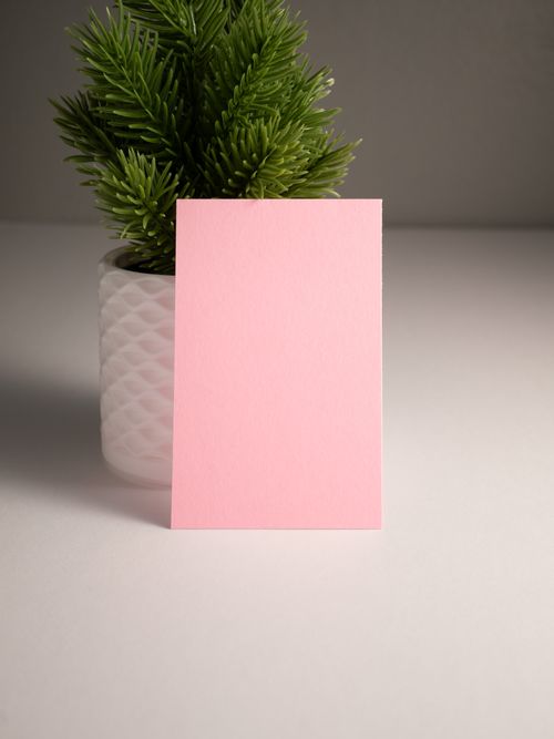 Free A blank pink card standing in front of a potted plant on a neutral background. Stock Photo