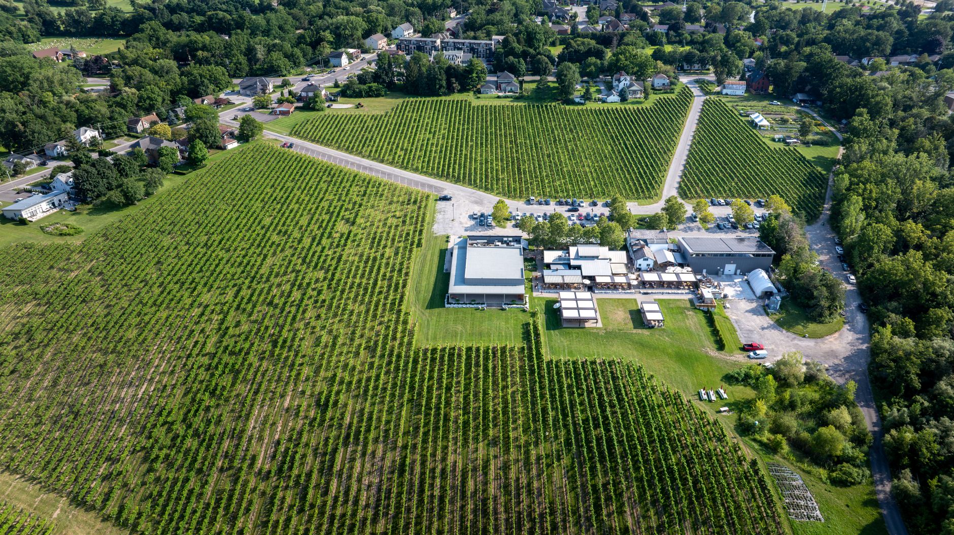 Inniskillin Winery