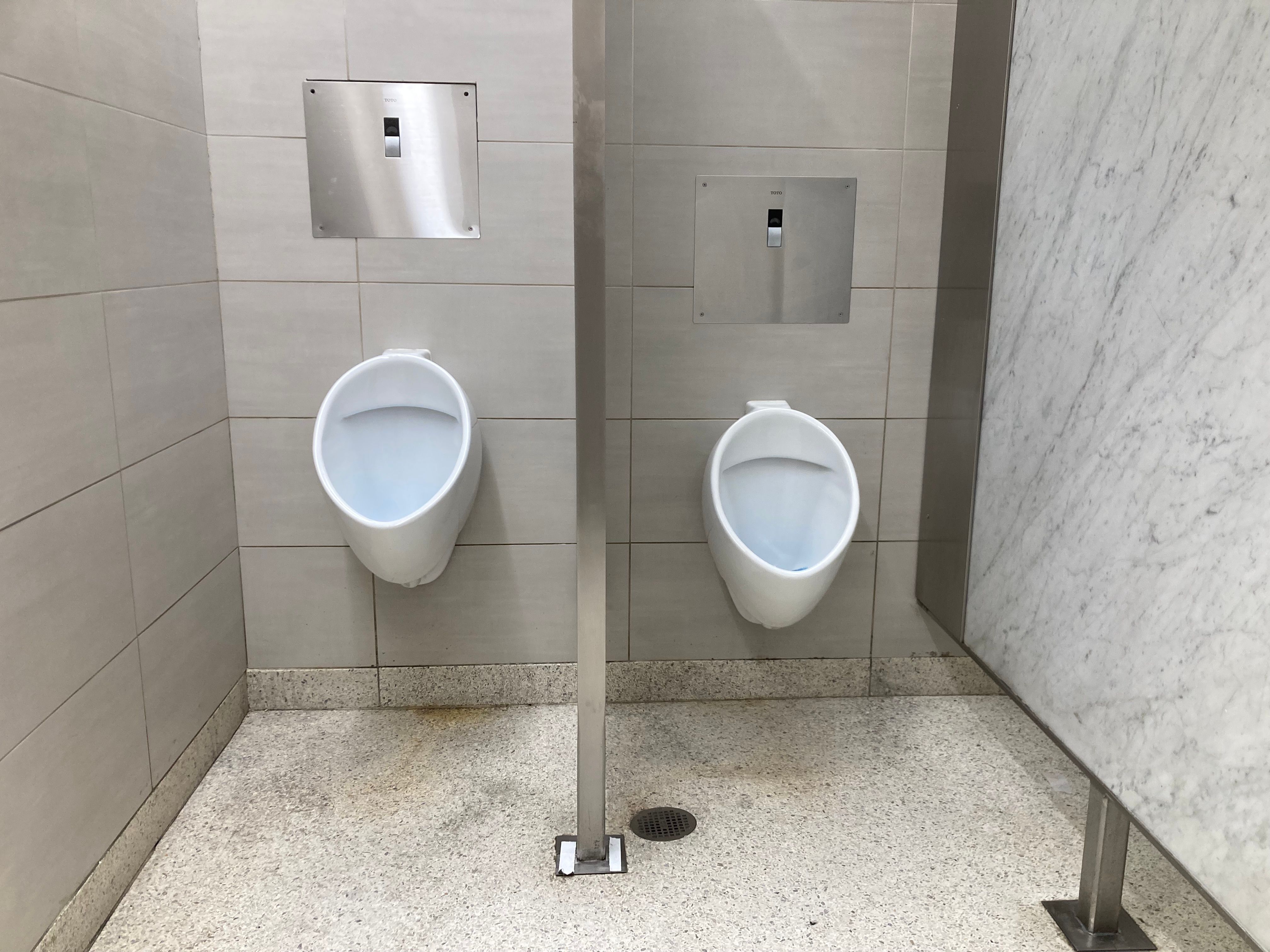 Macerating Toilet vs. Standard Toilet: Which Is Right for Yo