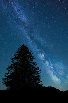 Baum & Himmel im Universum – Wunderschöne Kosmos-Aufnahme