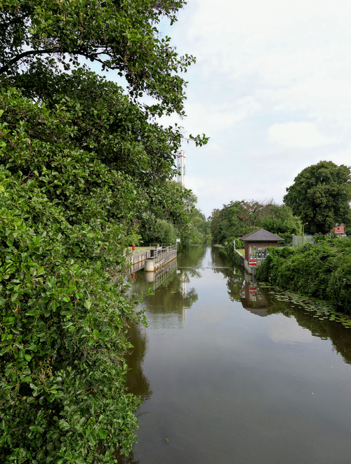 Free Serene canal with lush trees and a reflection on a calm day, creating a peaceful landscape. Stock Photo