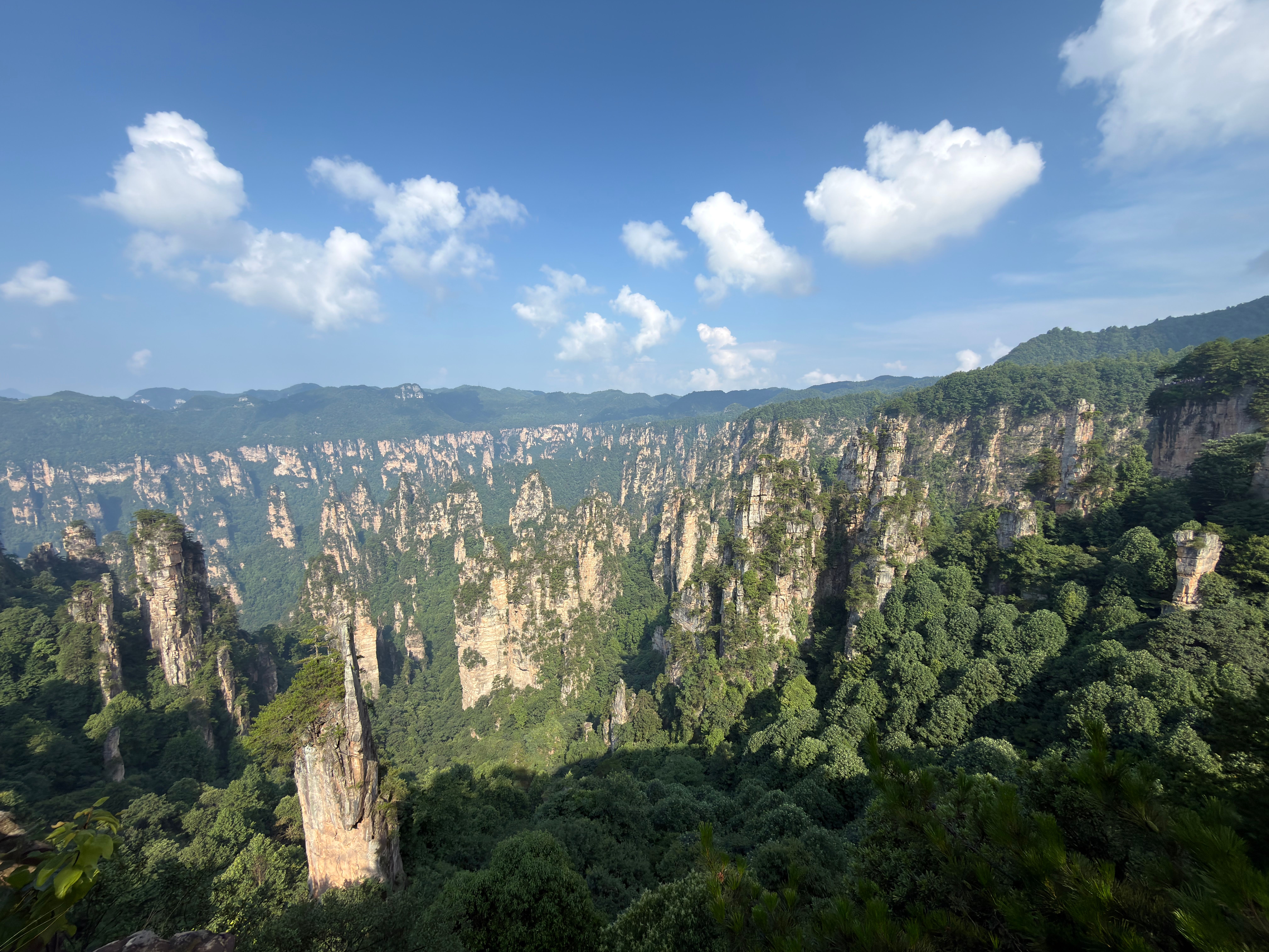 Panorama of Zhangjiajie's iconic sandstone pillars under a clear blue sky, China