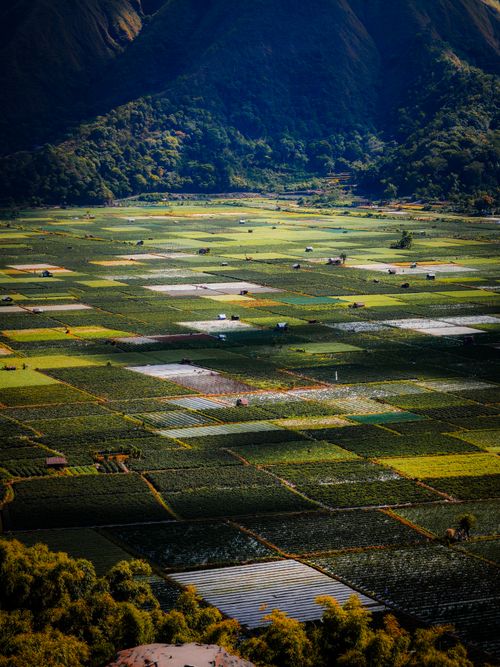 Free A breathtaking aerial view of lush green farmland with scenic surrounding mountains. Stock Photo