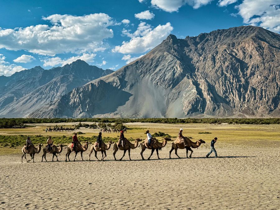 Bactrian camel ride on the Diskit dunes in Nubra Valley with mountains behind