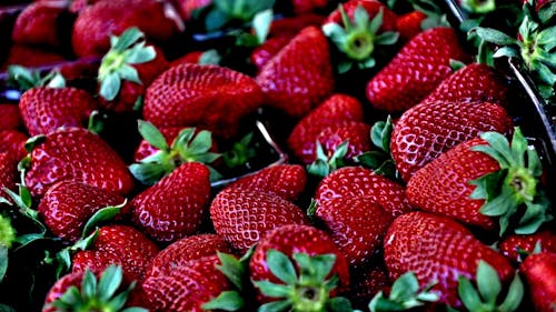 Strawberry on Shallow Focus Lens