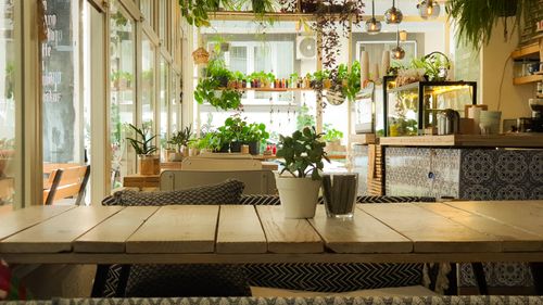 Free Bright and inviting café interior decorated with lush green plants and wooden furniture. Stock Photo