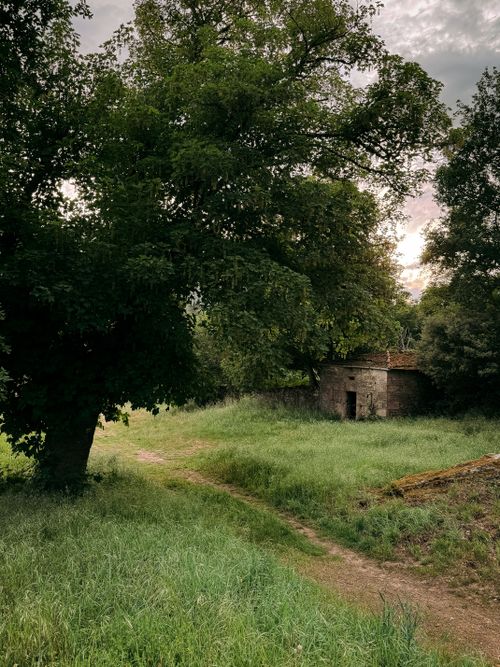 Free Explore the tranquil beauty of abandoned ruins surrounded by vibrant green landscapes in Castro Caldelas. Stock Photo