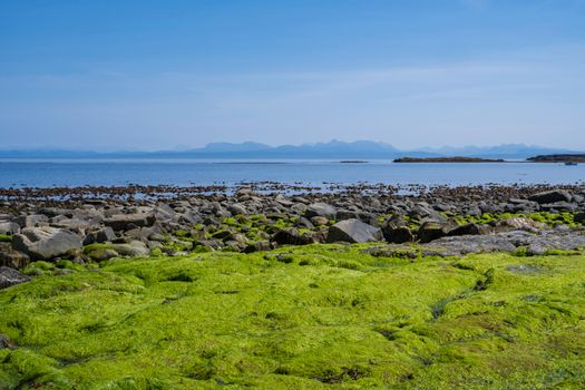 Scenic view of rocky Scottish coastline with green seaweed and distant mountains under blue sky.