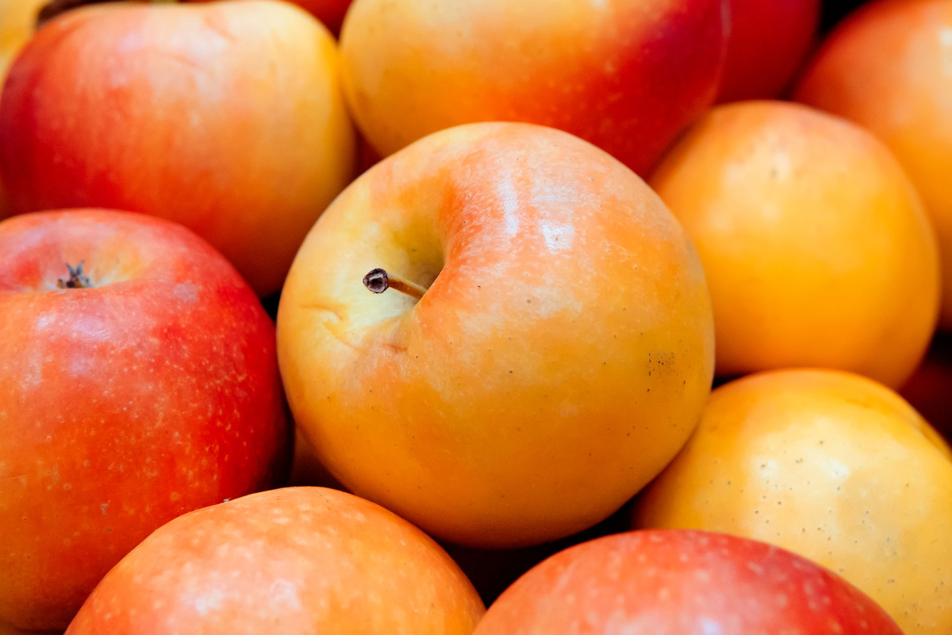 Apple Fruits