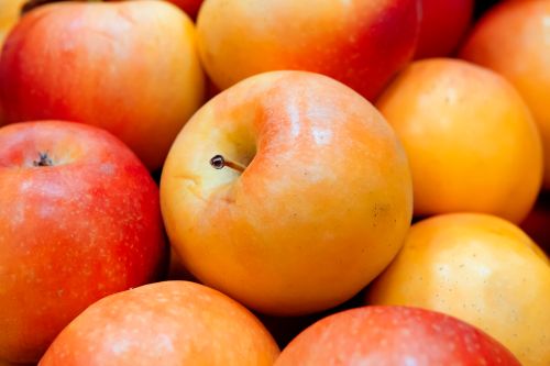 Free A vibrant close-up of fresh red and yellow apples showcasing their juicy texture. Stock Photo