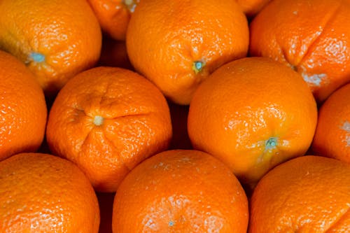 Close Up Photo Of Orange Fruits