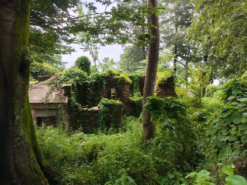 Free Discover an overgrown and abandoned building engulfed by nature in a lush forest setting. Stock Photo