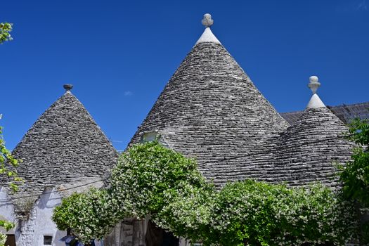 Traditional Trulli houses with conical roofs in Alberobello, surrounded by greenery and a clear blue sky.