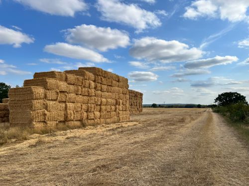 Free A picturesque scene of stacked hay bales in a sunny, rural field with blue skies. Stock Photo
