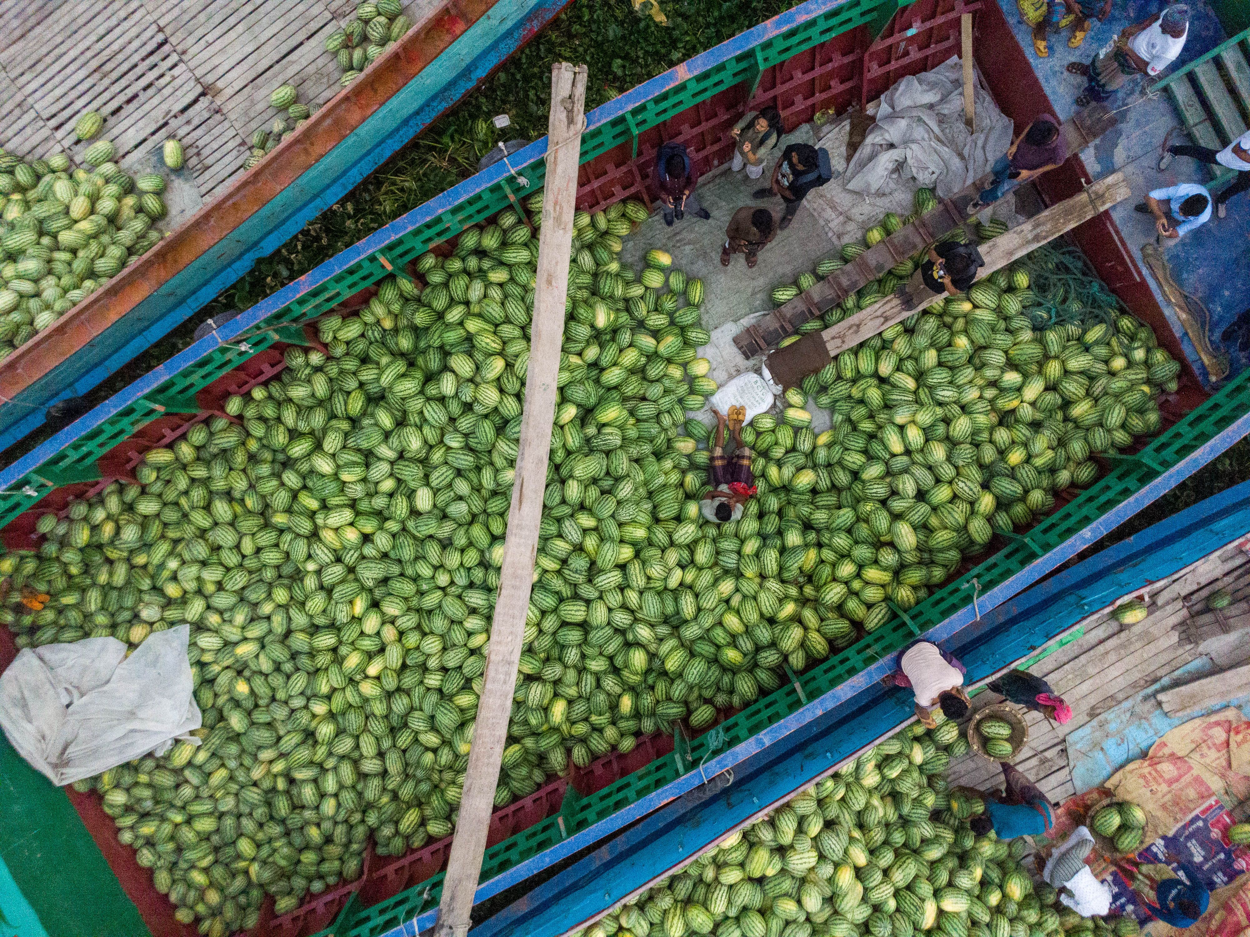 Produce Importer Compliance: Phytosanitary Requirements Guide