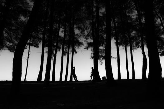 Black and white silhouette of two people walking through a forest of tall trees at dusk, creating a serene and mysterious atmosphere.