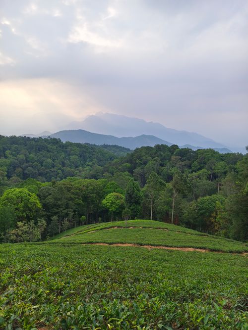 Free Explore the serene beauty of Tamil Nadu's lush green hills under a cloudy sky. Stock Photo