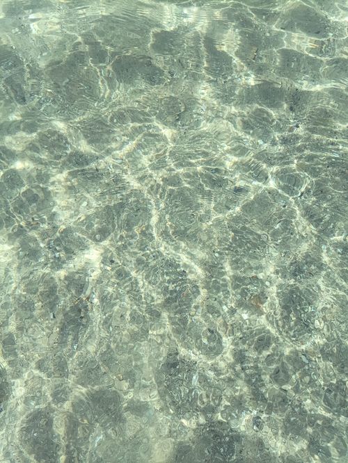 Free Sunlit patterns on clear shallow ocean water create a serene and calming scene. Stock Photo