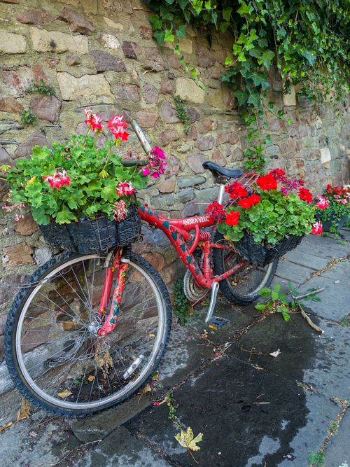 Free A vintage red bicycle repurposed as a planter against a stone wall in Bristol, England. Stock Photo