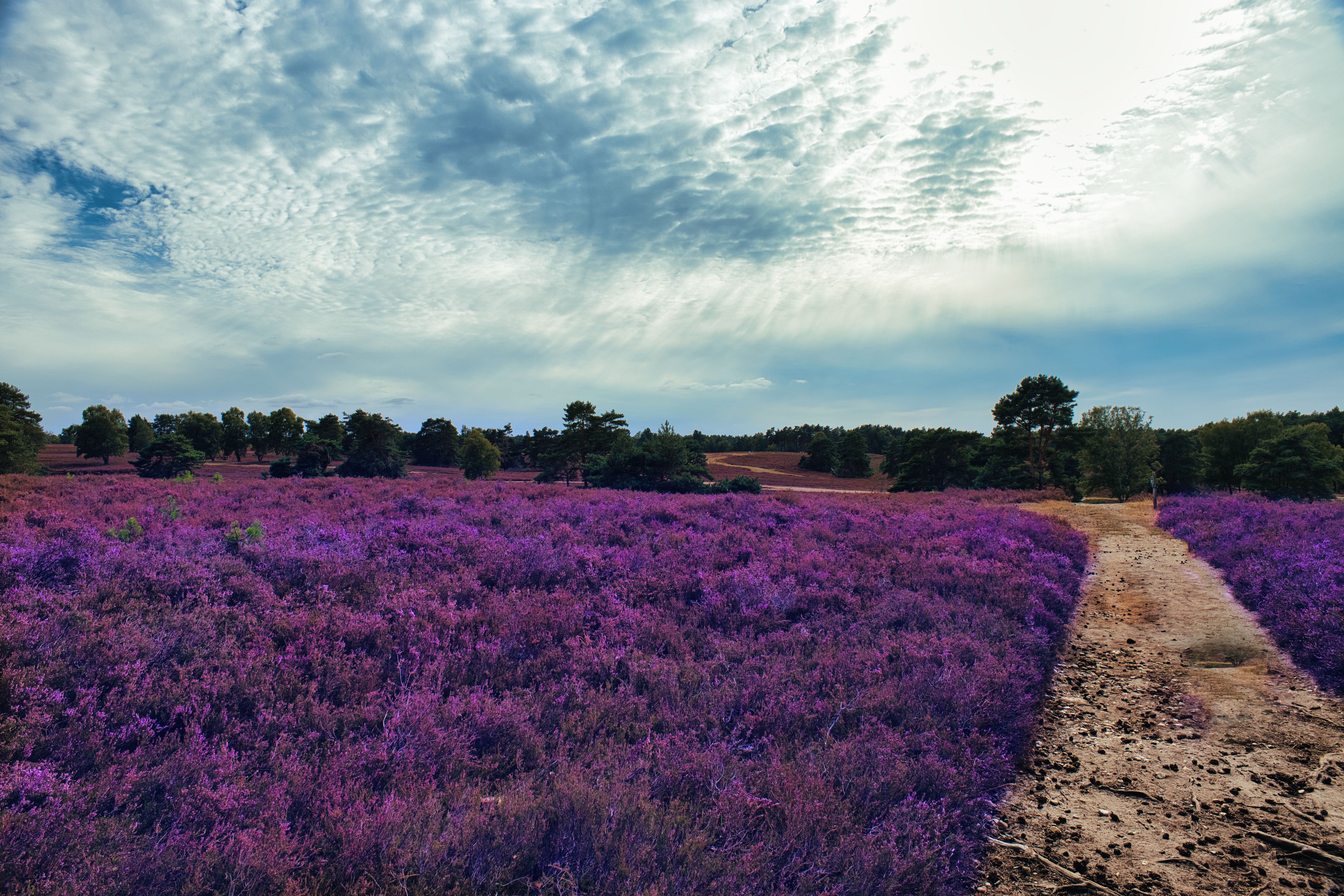 Gelderland