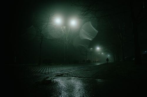 Free Silhouette walking under streetlights in a foggy, rainy night setting. Stock Photo