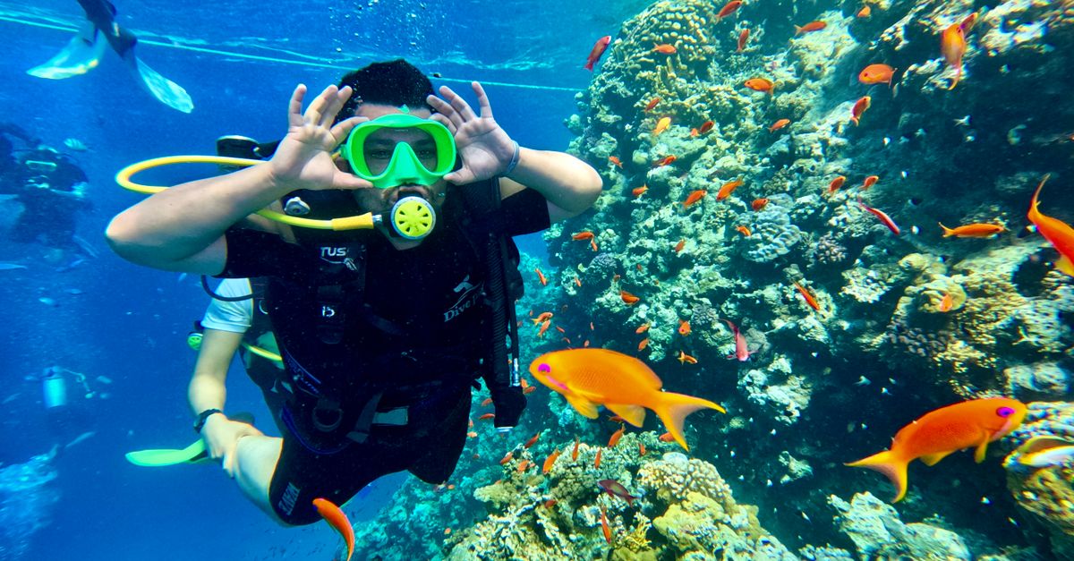 Bonaire Scuba Diving — Caribbean travel guide