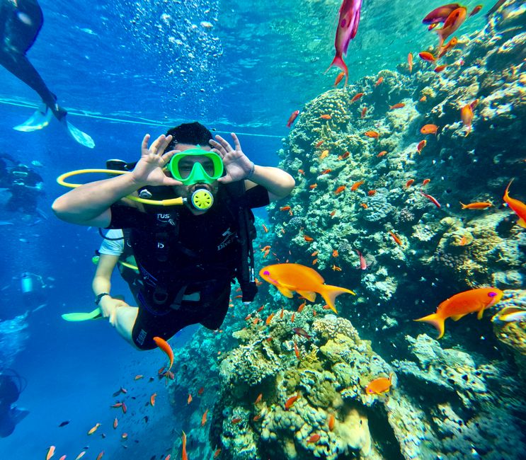 wisata alam Wakatobi: surga bawah laut yang wajib dikunjungi