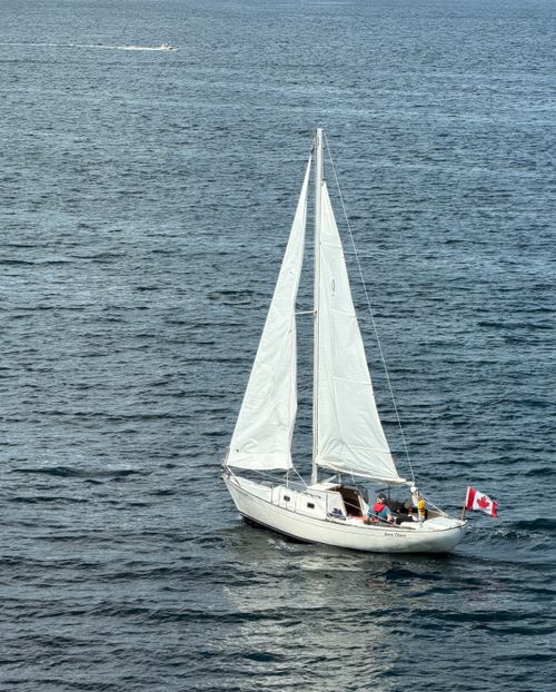 Free A white sailboat with Canadian flag sails in Halifax Harbor, Nova Scotia. Stock Photo
