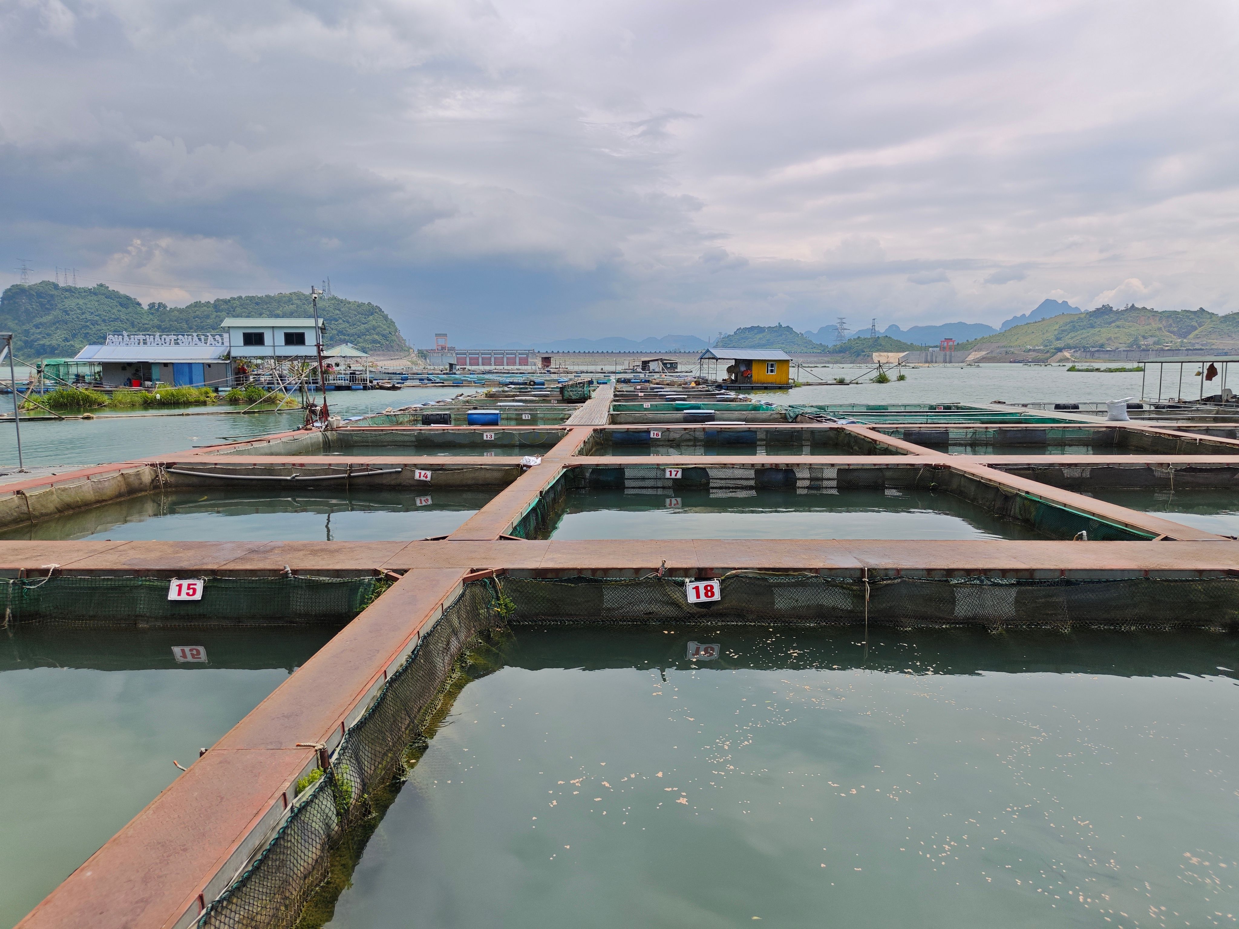 Aerial view of aquaculture pens in Phu Tho, Vietnam, with a cloudy sky backdrop.