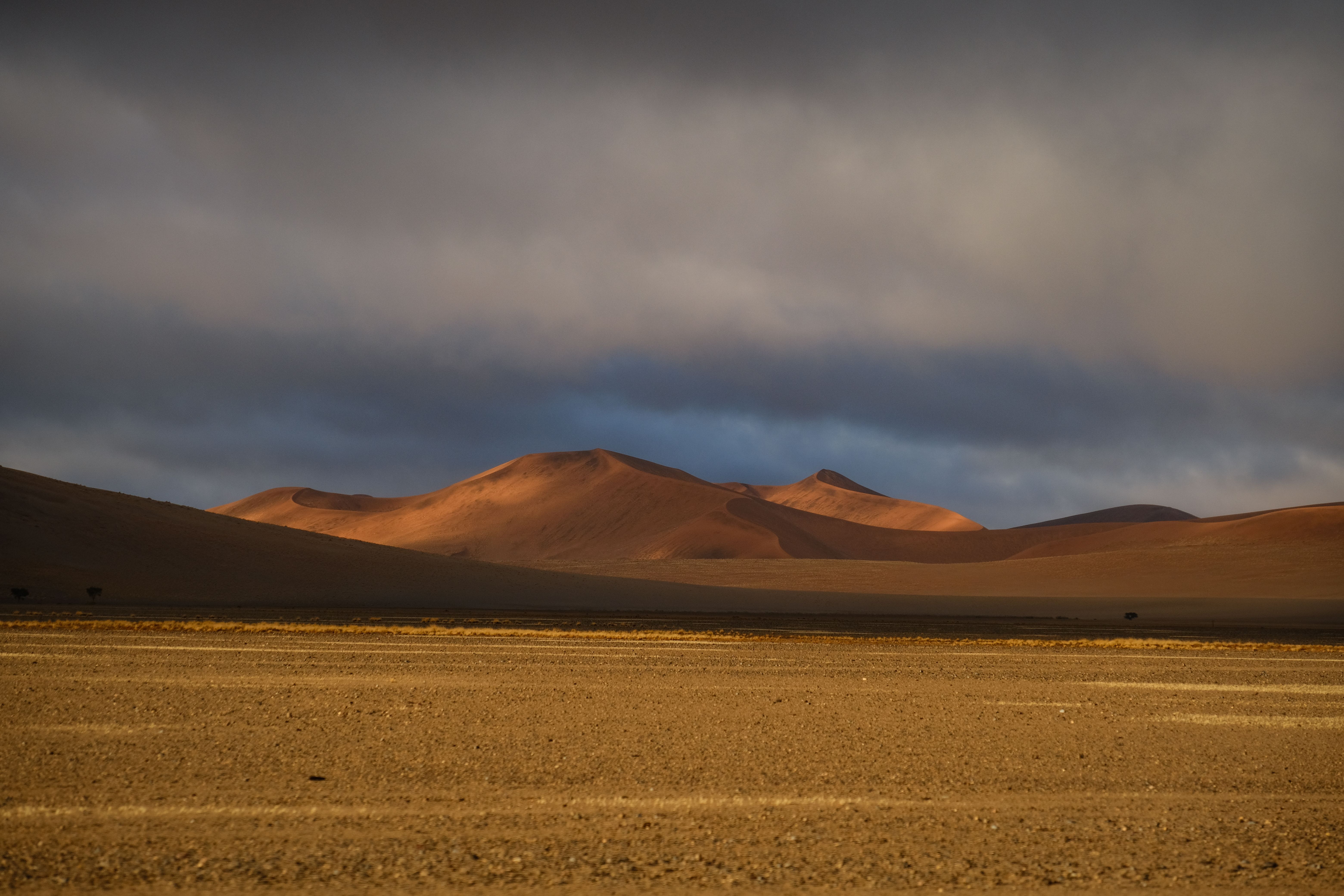 Capture of stunning desert dunes at sunset, showcasing contrasting light and shadows.