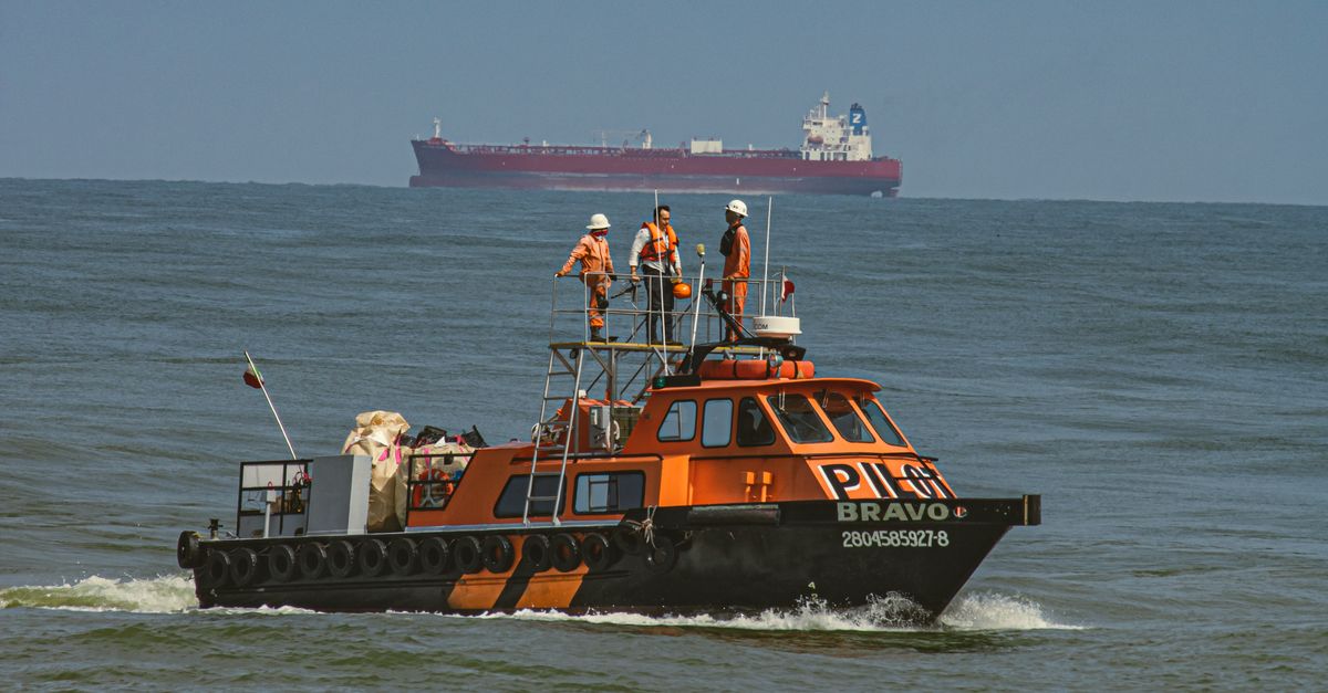 Cómo los derrames de petróleo han afectado ecosistemas marinos y terrestres a lo largo de la historia Cómo los derrames de petróleo han afectado ecosistemas marinos y terrestres a lo largo de la historia