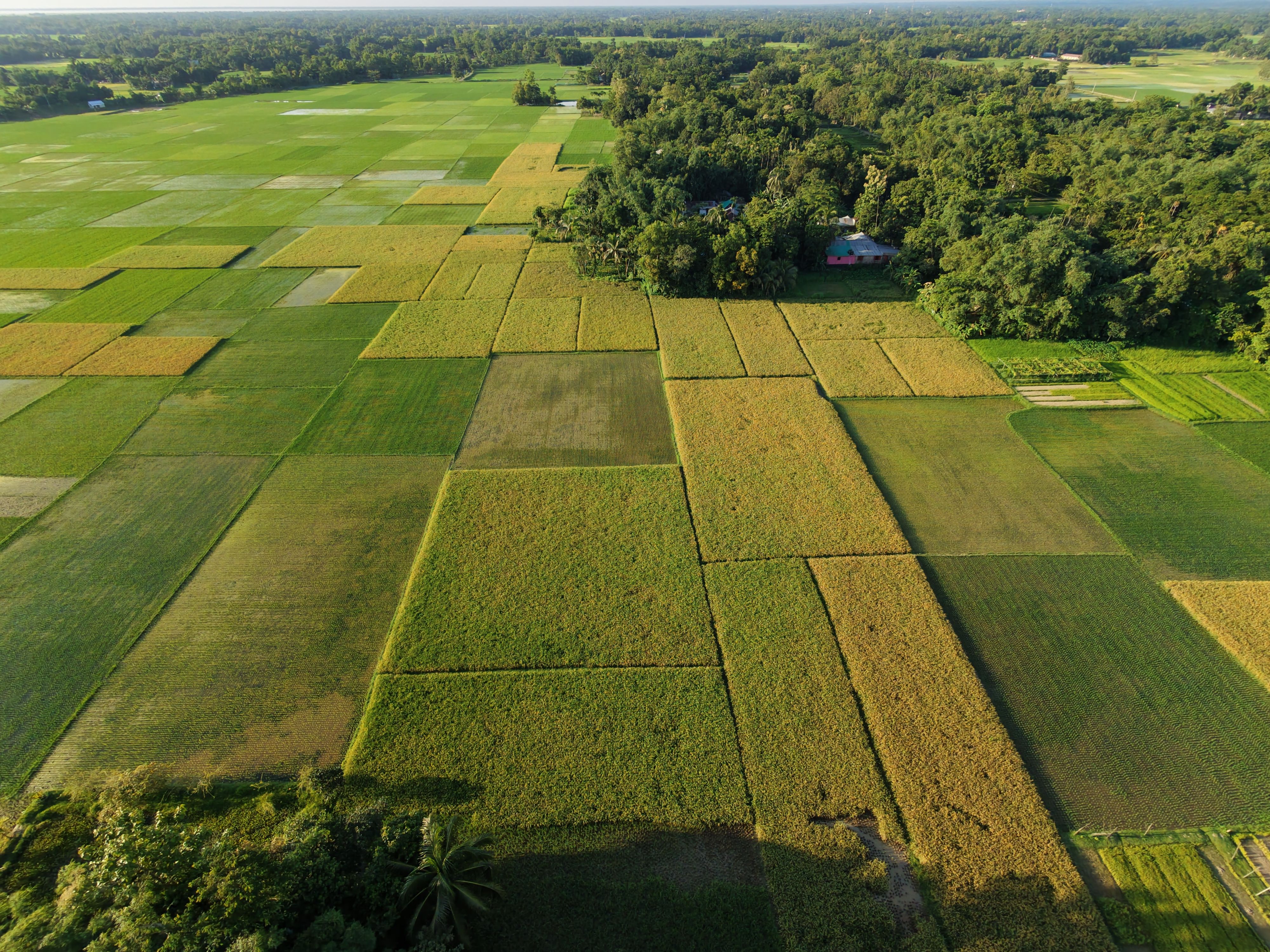 Stunning aerial view showcasing expansive green agricultural fields and dense forested areas.