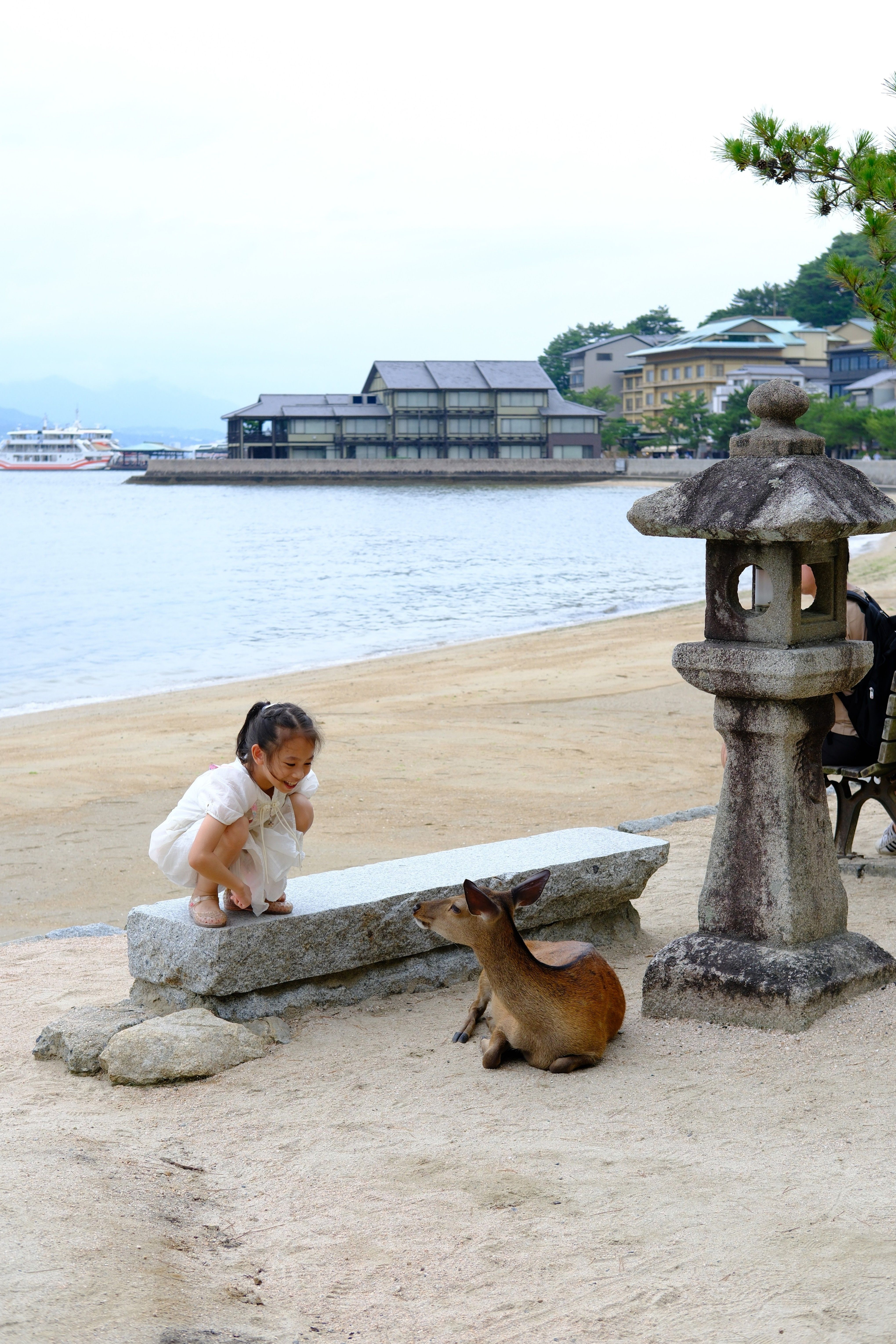 A young girl curiously observes a deer on the beach in Miyajima, Japan, near a stone lantern